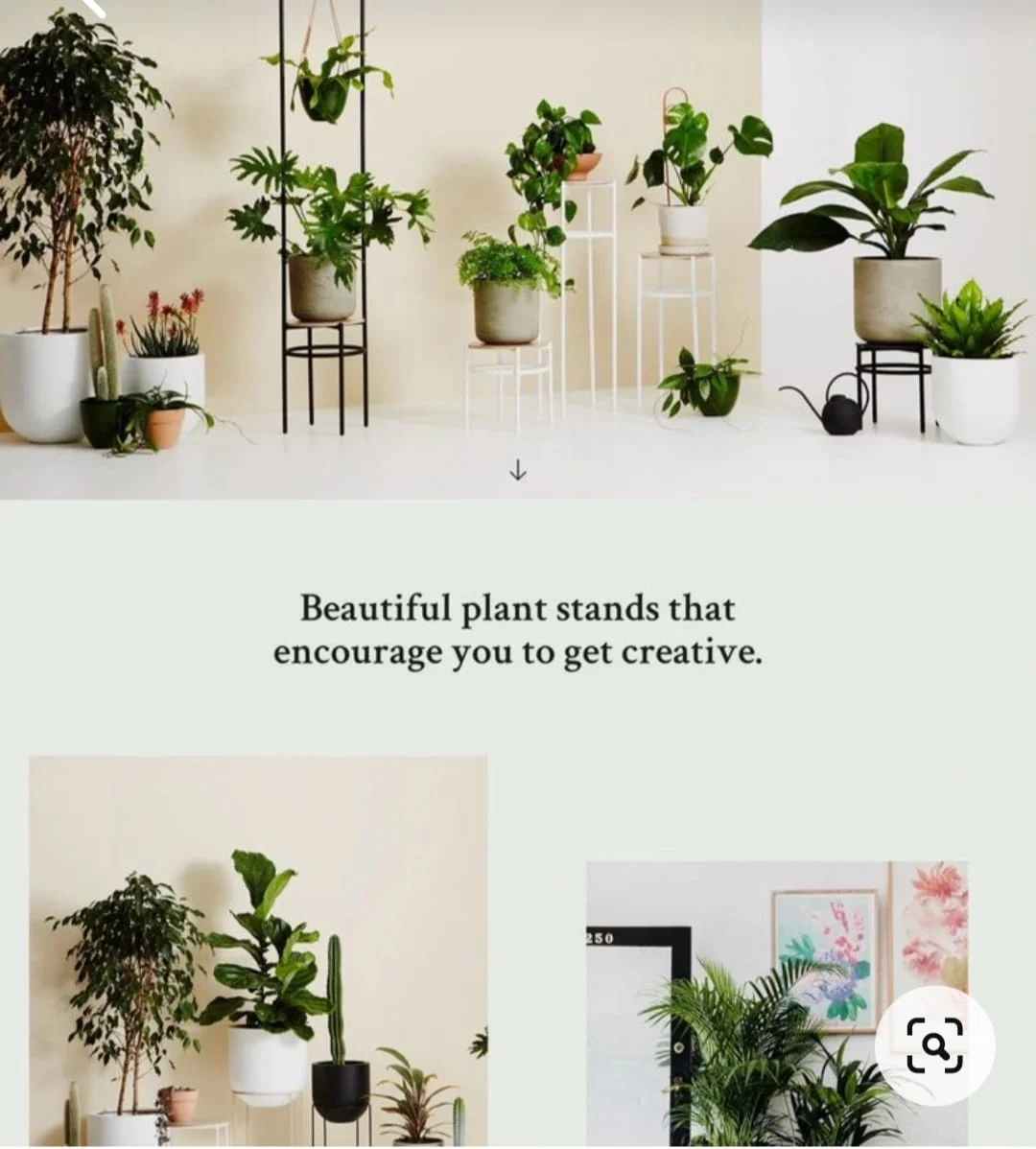 admin/uploads/uploads/creative.webp