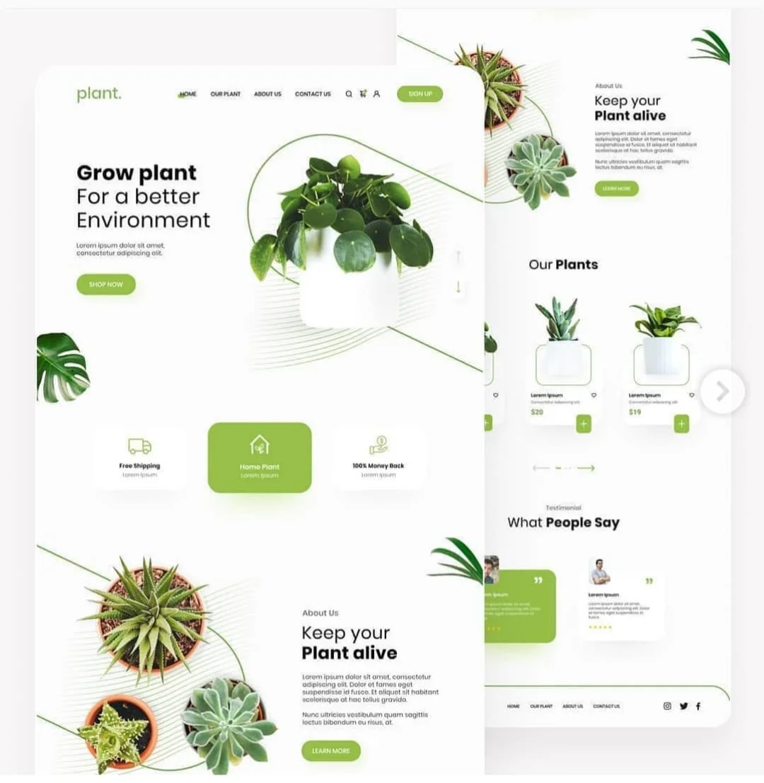 admin/uploads/uploads/our_plants.webp